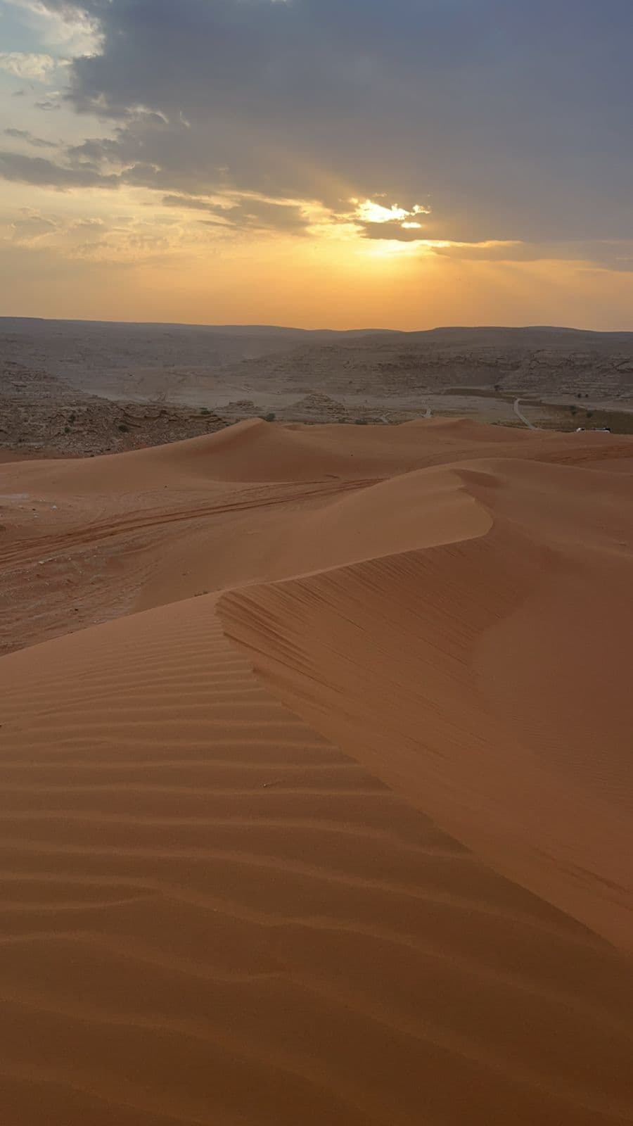 يوم من المغامرات في الرياض - تزلج علي الرمال و ركوب الجمل والتطعيس