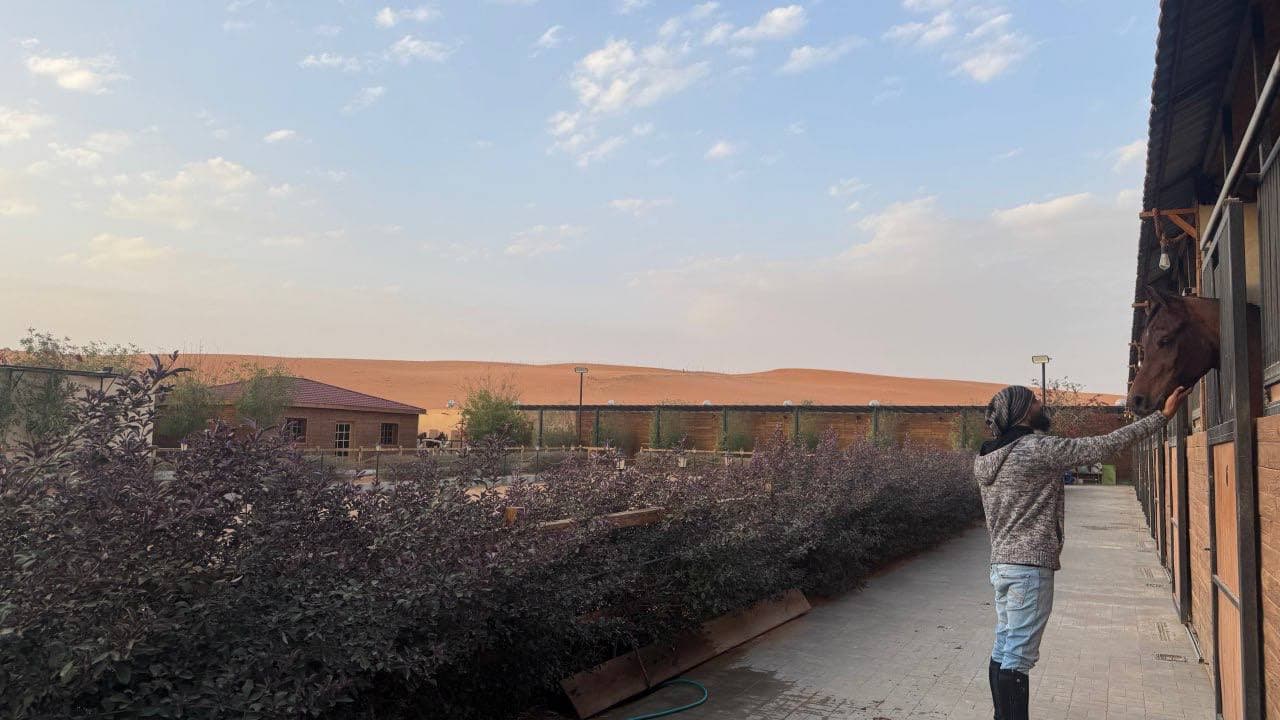 适合初学者的骑马体验及摄影