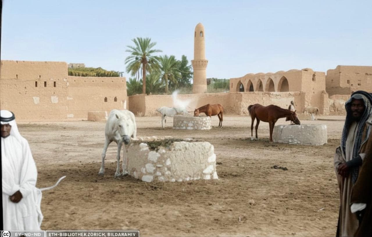 Al-Ahsa：Al-Qasriya 市场和 Jabal Al-Qarah