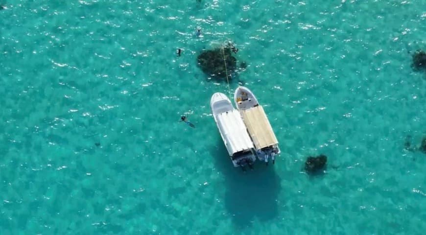 吉达：巴亚达岛团体海岛之旅