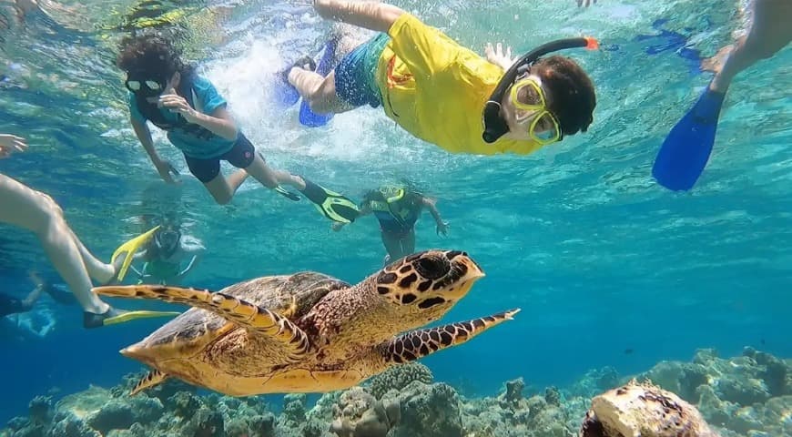 吉达：巴亚达岛团体海岛之旅